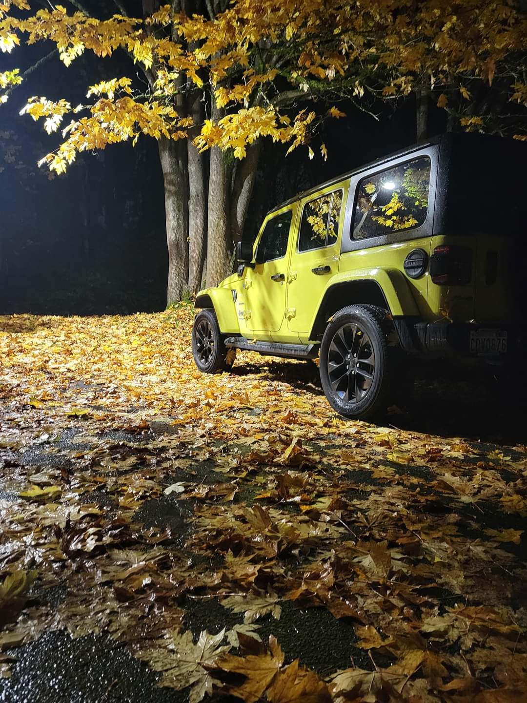 Bubbles Jeep