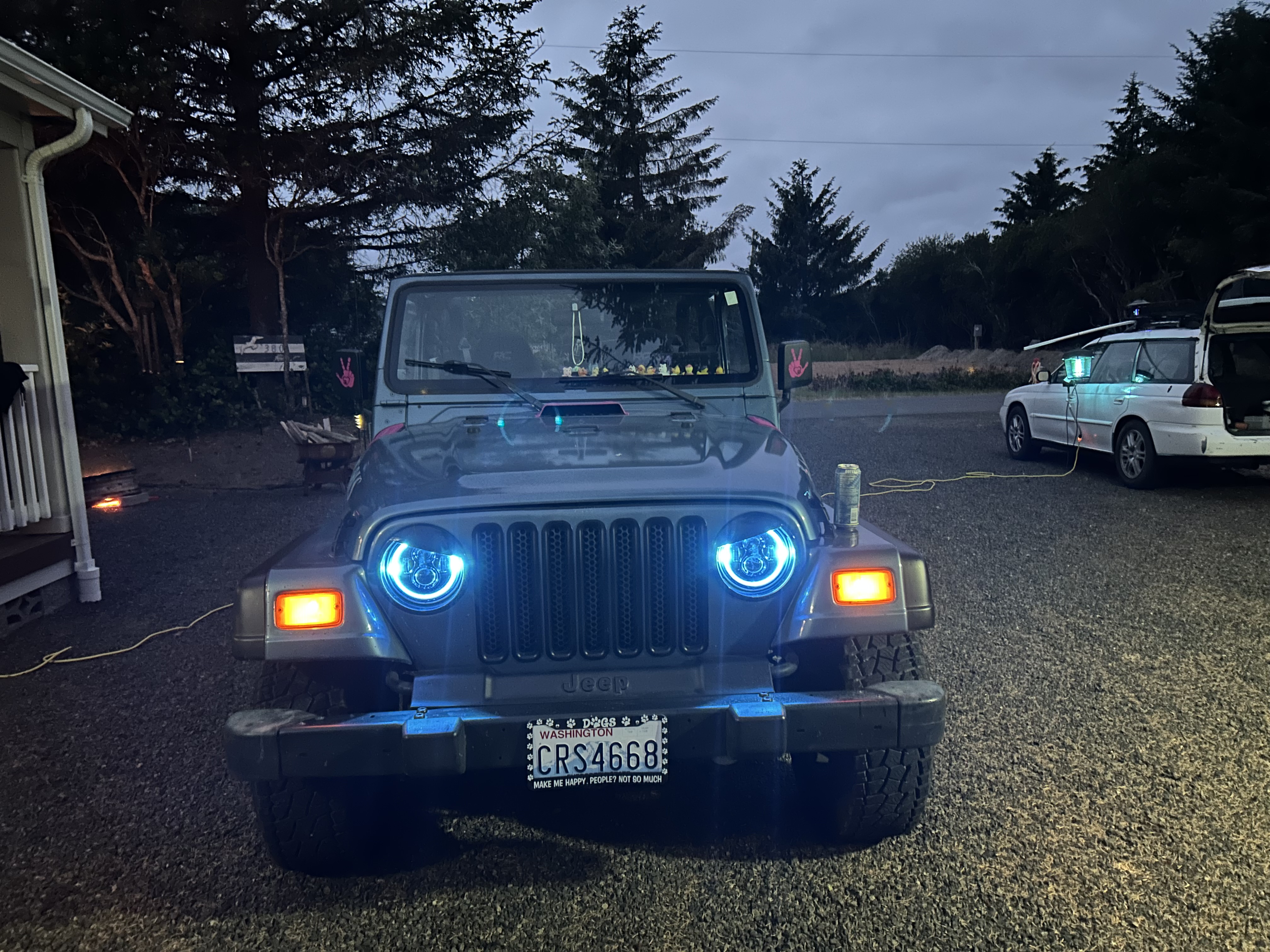 Salty paws Jeep